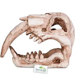 Декорація череп тигра Terrario Sabertooth Skull 13x8,5x11см (15911) - мініатюра 5