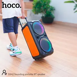 Портативна акустика Hoco DS42 Sounding 30 Вт караоке з мікрофоном бездротова - мініатюра 8