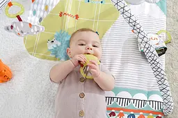 Килимок - ігровий центр Fisher-Price Перші відчуття дитини (GKD45) - мініатюра 4