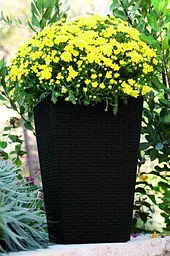 Горщик для рослин Keter Rattan Planter M (medium) 55,4 л - мініатюра 2