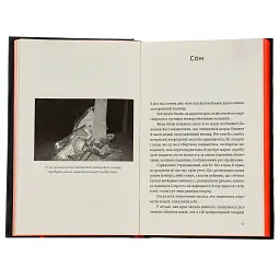 Книга Камю має померти - Джованні Кателлі Видавництво Старого Лева (9789664481028) - мініатюра 6