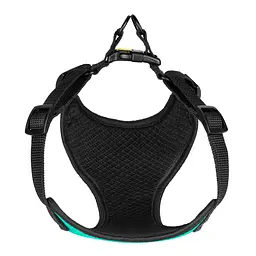 Шлея для собак дрібних порід Bronzedog Sport S 16х14х2 см бірюзова - мініатюра 4