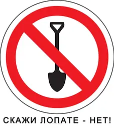 Плоскоріз Фокіна   - мініатюра 4