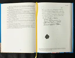 Вінницький ґродський суд. Поточна актова книга за 1768 рік. Подокументний опис - Олександр Петренко - мініатюра 7