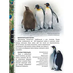 Енциклопедія для допитливих Талант Тварини - Жабська Т. С. (9786176950264) - мініатюра 5