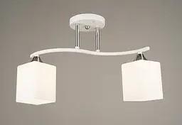 Люстра стельова Sirius B N4069/2 на 2 плафони