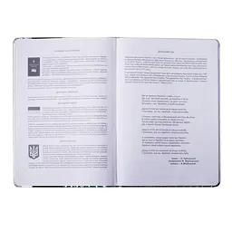 Щоденник шкільний ZiBi В5 48 аркушів тверда обкладинка зі штучної шкіри з поролоном Silver (ZB.13214-24) - мініатюра 3