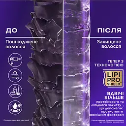 Уцінка. Набір OGX Біотинова формула з колагеном для об’єму та зміцнення волосся - мініатюра 7