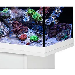 Акваріумний комплект Eheim aquastar 63 marine LED білий (0340702) - мініатюра 5
