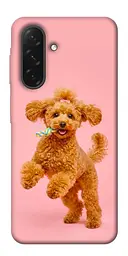 TPU чохол Demsky Happy poodle для Samsung Galaxy A26 5G
