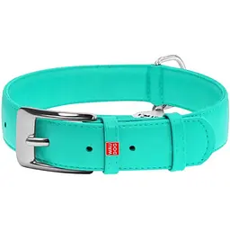 Нашийник для собак Waudog Glamour, шкіряний, з QR паспортом, 46-60х3,5 см, ментоловий