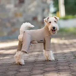 Базовий комбінезон/піжама для собак V.PET.B.R. Dog Jumpsuit CF36 Khaki