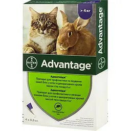 Краплі від бліх Bayer Advantage 80 для котів понад 4 кг