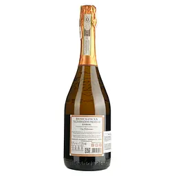 Ігристе вино Domus-pict Valdobbiadene Prosecco Superiore DOCG Dry Millesimato, біле, сухе, 0,75 л - мініатюра 2