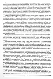 Історія України. Довідник для абітурієнтів та школярів - Станіслав Кульчицький - мініатюра 3