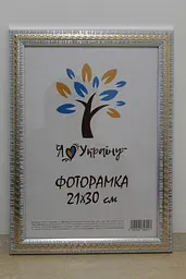 Фоторамка 21Х30, (А4), срібна із золотою змійкою, 2416-120G, ОРГСКЛО+ДВП                                                                              