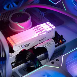 Модуль пам'яті Kingston Fury DDR5 16GB 6000MHz Beast White RGB EXPO (KF560C30BWEA-16) - мініатюра 3