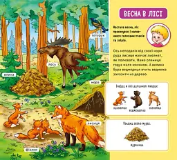 Мій перший словничок. У лісі - мініатюра 3