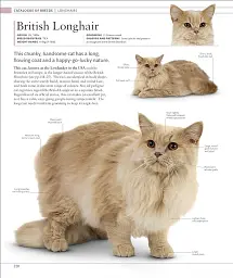 The Cat Encyclopedia - мініатюра 8