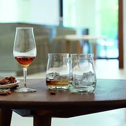 Набір бокалів для віскі Spiegelau Special Glasses, 280 мл (21499) - мініатюра 4