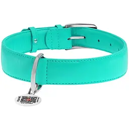 Нашийник для собак Waudog Glamour, шкіряний, з QR паспортом, 46-60х3,5 см, ментоловий - мініатюра 2