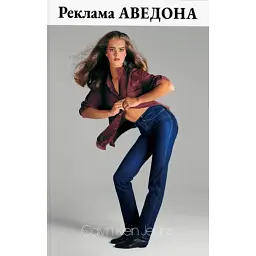 Реклама Аведона - Річард Аведон - мініатюра 1