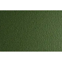 Папір для дизайну Fabriano Elle Erre B1 (70x100см) №28 verdone 220г/м2 темно-зелений