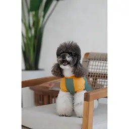 Футболка Pet Fashion Kent для собак S - мініатюра 6