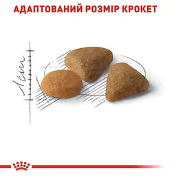 Сухий корм для котів вибагливих до складу продукту Royal Canin Exigent Savour 3.2 кг + 800 г - мініатюра 4