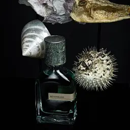Тестер парфумів Megamare 50 ml - мініатюра 3