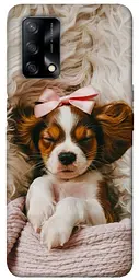 TPU чохол Demsky Sleepy spaniel для Oppo A74 4G