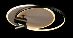 Люстра стельова LED Splendid Ray L2451/480/2+2, 4 лампи, 56 см, чорний та білий, сучасний стиль, з пультом, димер - мініатюра 3