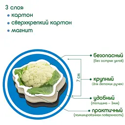 Магнітний набір Magdum Овочі (ML4031-12 EN) - мініатюра 3