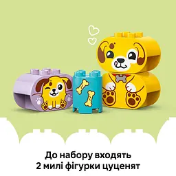 Конструктор LEGO DUPLO My First Сортувальник фігур: будинок для цуценят 17 деталей (10441) - мініатюра 16