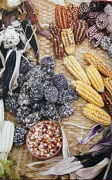 The Latin American Cookbook - мініатюра 4