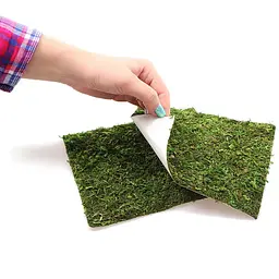 Фон з натурального моху Repti-Zoo Natural Moss Back & Bottom 45x45см 2 шт (NCM4545) для тераріуму - мініатюра 5