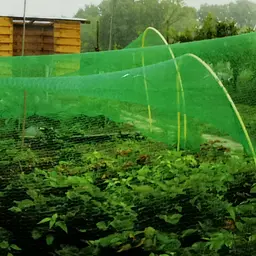 Сітка для відлякування птахів Kinzo Garden 4х5 м 1 шт. - мініатюра 4