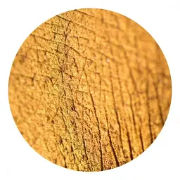 Розсипчасті тіні Sinart Make-Up With Passion тон 58 (Chine Orange Yellow) 1 г - мініатюра 2