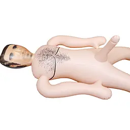 Секс-лялька Boys Of Toys Plumber B-Series Male Doll надувна - мініатюра 3