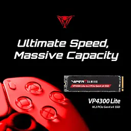 Накопичувач SSD M.2 2280 4TB VP4300L Patriot (VP4300L4TBM28H) - мініатюра 12