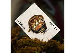 Карти гральні United States Playing Card Company Theory11 Moooi Extinct Animals (limited edition) (ВР_КИТМЕЕ) - мініатюра 5