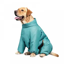 Комбінезон Pet Fashion Cold для собак, розмір XS, бірюза - мініатюра 2