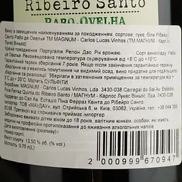 Вино Magnum Ribeiro Santo Rabo de Ovelha DO Dao 2020 біле сухе 0.75 л - мініатюра 4