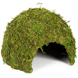Схованка з моху Repti-Zoo Natural Mossy Dome L 22x17см ERS25L для тераріуму, рептилій і геконів, з живим мохом - мініатюра 4