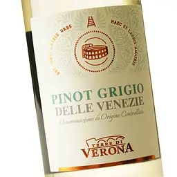 Вино Cantina di Verona Terre di Verona Pinot Grigio, 12%, 0,75 л (AT1Q015) - мініатюра 5