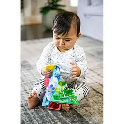 Книжка-гризунець Baby Einstein Teather Book (11794) - мініатюра 7