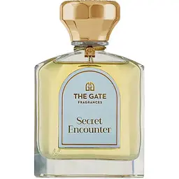 Парфуми The Gate Fragrances Paris Secret Encounter Тестер 100 мл 