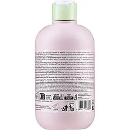 Шампунь проти лупи Inebrya Cleany Shampoo 300 мл - мініатюра 2
