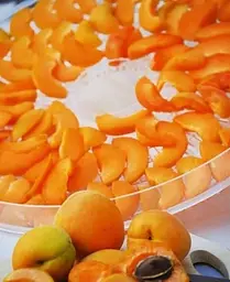 Саджанець Agro-Market Абрикос Петропавлівський (літній сорт, пізній термін дозрівання) (39867) 1 шт. в упаковці - мініатюра 3
