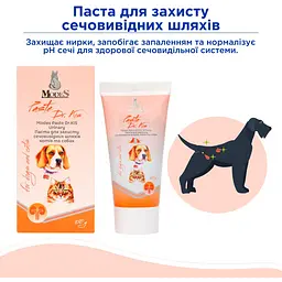 Паста для котів та собак Modes Dr.Kis Urinary для захисту сечовивідних шляхів 50 г - мініатюра 3